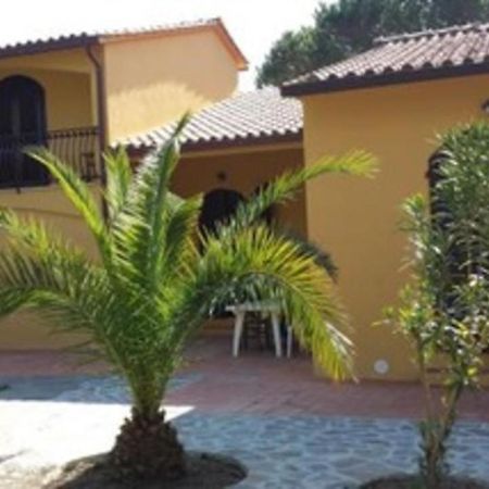 Villa Artistica App.1/Trilo 6 Capoliveri  Exteriör bild